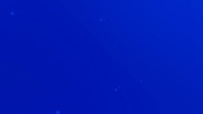 Estos signos crecerán en el terreno del dinero.