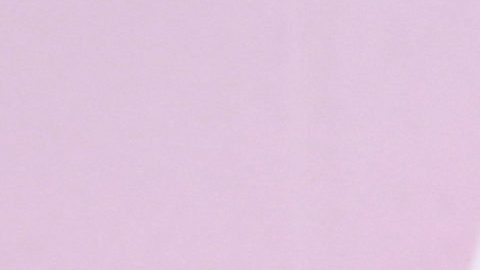 Victoria, hija de Tommy Lee Jones