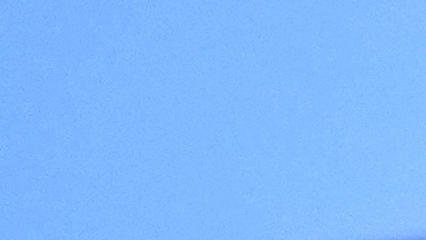 La convocatoria surge después de que miles de personas salieran a las calles en Minnesota la semana pasada.