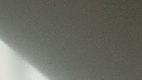 La iniciativa que nació a finales de 2025, cuenta ahora con al menos 4,000 personas, en su mayoría ciudadanos estadounidenses y residentes de Minnesota.