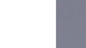 Proctor fue trasladada a la cárcel del condado de Marion, donde permanece detenida sin derecho a fianza