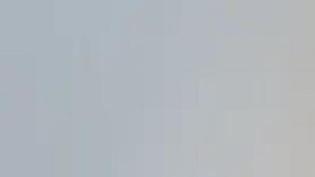 La detenida fue identificada como Elouise Ruth Leland, residente de Hernando