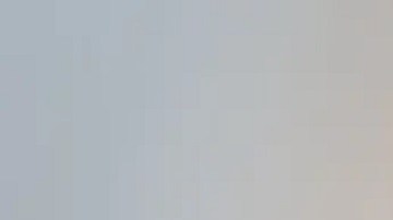 La detenida fue identificada como Elouise Ruth Leland, residente de Hernando