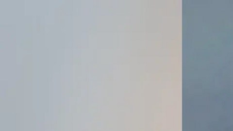 La detenida fue identificada como Elouise Ruth Leland, residente de Hernando