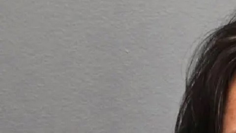 La mujer permanece recluida en la cárcel del condado de Somerset, a la espera de una audiencia de detención.