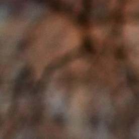 Protestas en Minneapolis por muerte de mujer en manos de agente de ICE.