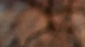 Protestas en Minneapolis por muerte de mujer en manos de agente de ICE.