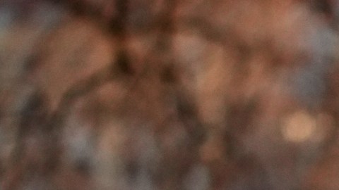 Protestas en Minneapolis por muerte de mujer en manos de agente de ICE.