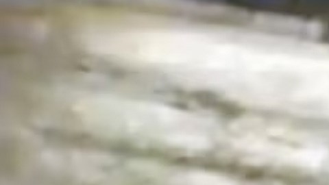 La familia de las víctimas exige respuestas mientras continúa la investigación.