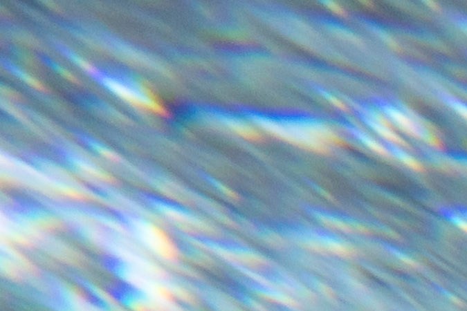 Clases de natación en parques acuáticos de Orlando