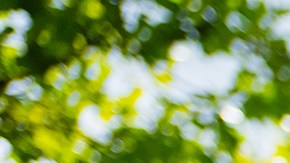 Una madre y su hija pequeña con orejas de Minnie acuáticas disfrutan de un flotador en el río lento de Disney's Blizzard Beach Water Park.