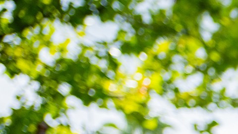 Una madre y su hija pequeña con orejas de Minnie acuáticas disfrutan de un flotador en el río lento de Disney's Blizzard Beach Water Park.