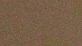 Agente de la Patrulla Fronteriza