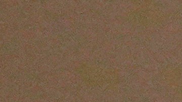 Agente de la Patrulla Fronteriza