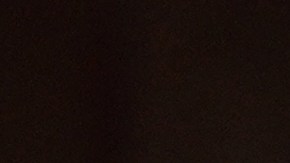 La cachorra tiene una discapacidad que, según especialistas, fue producto de un trauma provocado durante su condición sin hogar.