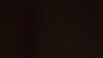 La cachorra tiene una discapacidad que, según especialistas, fue producto de un trauma provocado durante su condición sin hogar.