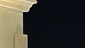 Un poco más de 400 miembros de la comunidad se manifestaron en el condado de Orange.