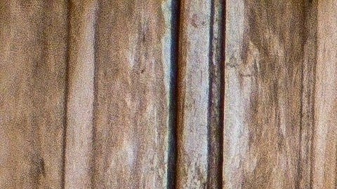 El material de una bicicleta está pensado para resistir peso, golpes y el paso del tiempo, detalles que puedes aprovechar para proyectos caseros.