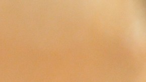 Los expertos en Feng Shui insisten encarecidamente en que jamás le hagas daño a una abeja que esté dentro del hogar, sino que le permitas salir.