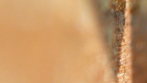 Los expertos en Feng Shui insisten encarecidamente en que jamás le hagas daño a una abeja que esté dentro del hogar, sino que le permitas salir.