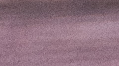 Michoacán lidera recepción de remesas.