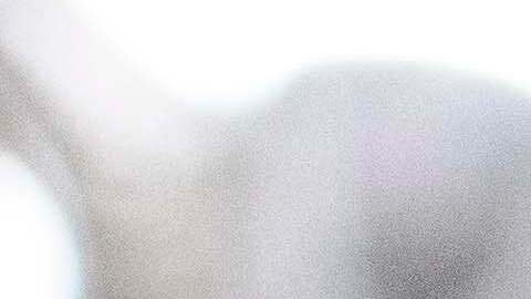 Schumer acusó a los republicanos de no enfrentar a Donald Trump ni frenar los abusos cometidos por agentes migratorios.