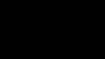 La resolución requiere la mayoría de votos para ser aprobada por el Senado, controlado por los republicanos.