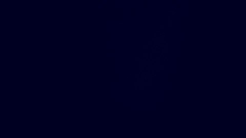 Las autoridades no precisaron la gravedad exacta de las lesiones ni el motivo de la discusión que derivó en el ataque.