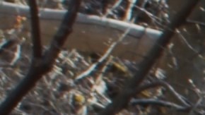 Brown, de 53 años, fue vista por última vez el 3 de enero en la cuadra 4500 de Martin Luther King Jr. Drive, en el vecindario de Bronzeville