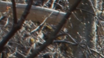 Brown, de 53 años, fue vista por última vez el 3 de enero en la cuadra 4500 de Martin Luther King Jr. Drive, en el vecindario de Bronzeville