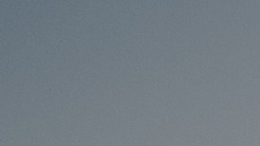 Un hombre fue apuñalado junto a su perro en un estacionamiento de Parkland, Washington, luego de que el agresor le preguntara por su religión.