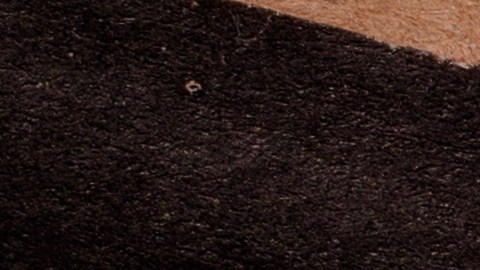 El reembolso forma parte de un acuerdo entre Amazon y la FTC que fue alcanzado a finales de 2025