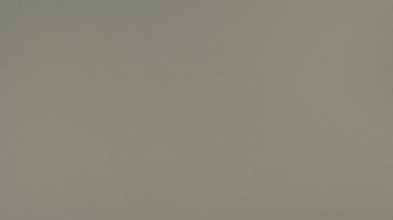 Little Language Lessons cuenta con soporte para más de 40 idiomas que podrás practicar a tu ritmo y en el horario que desees