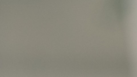 Little Language Lessons cuenta con soporte para más de 40 idiomas que podrás practicar a tu ritmo y en el horario que desees