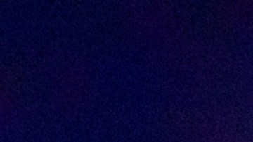 Meyer sufrió una herida en un brazo, mientras que su esposa presentó una lesión en la cadera.