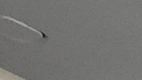 las autoridades arrestaron a ambas mujeres, quienes fueron acusadas de allanamiento menor tras advertencia, un delito menor.