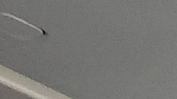 las autoridades arrestaron a ambas mujeres, quienes fueron acusadas de allanamiento menor tras advertencia, un delito menor.