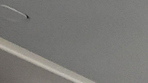 las autoridades arrestaron a ambas mujeres, quienes fueron acusadas de allanamiento menor tras advertencia, un delito menor.