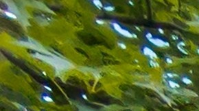 El fallo quedó expuesto gracias a un video publicado por el youtuber RJCmedia