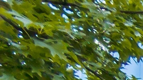 El fallo quedó expuesto gracias a un video publicado por el youtuber RJCmedia