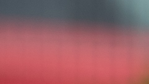 Autoridades y rescatistas intentaron salvarlos, pero las heridas resultaron fatales.