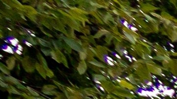 La Policía Estatal de Nueva Jersey identificó al detenido como Hernando Garciamorales, de 40 años y residente de Palisades Park