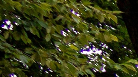 La Policía Estatal de Nueva Jersey identificó al detenido como Hernando Garciamorales, de 40 años y residente de Palisades Park