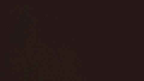 Desde hace años TikTok avisa a sus usuarios que recopilar información sobre sus gustos sexuales y estatos migratorio