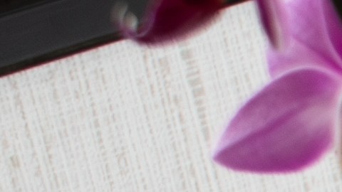 Buena parte de los dispositivos Amazon Echo Show es compatible con la versión mejorada de Alexa