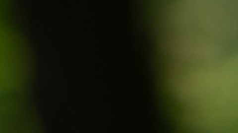 Apple deberá demostrar a la ITC que no violó ninguna patente para poder continuar vendiendo sin problemas los Apple Watch