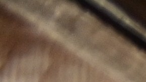 Hasta el momento, no se han dado a conocer las causas de las peleas ni el estado de salud detallado de los heridos.