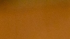 Tras la venta de las operaciones de TikTok en Estados Unidos muchos usuarios están migrando a UpScrolled