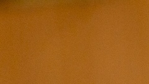 Tras la venta de las operaciones de TikTok en Estados Unidos muchos usuarios están migrando a UpScrolled