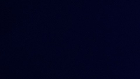 La venta de TikTok tiene como objetivo proteger los datos de los usuarios estadouinidenses e impedir que China pueda acceder a ellos